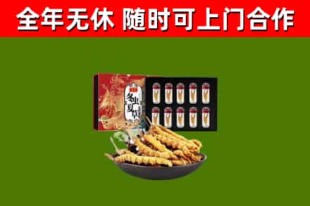广州回收冬虫夏草价格